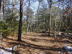 Image file: photo05.jpg