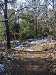 Image file: photo06.jpg