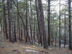 Image file: photo08.jpg