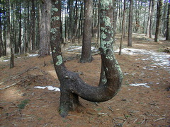 Image file: photo09.jpg