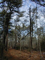 Image file: photo10.jpg