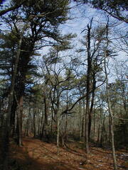 Image file: photo11.jpg