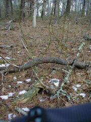 Image file: photo16.jpg