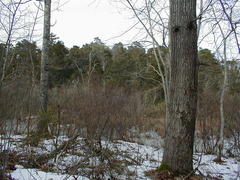 Image file: photo18.jpg