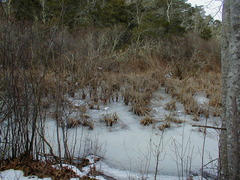 Image file: photo19.jpg