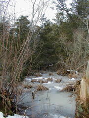 Image file: photo20.jpg