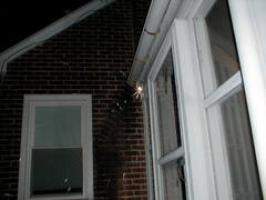 Image file: photo01.jpg