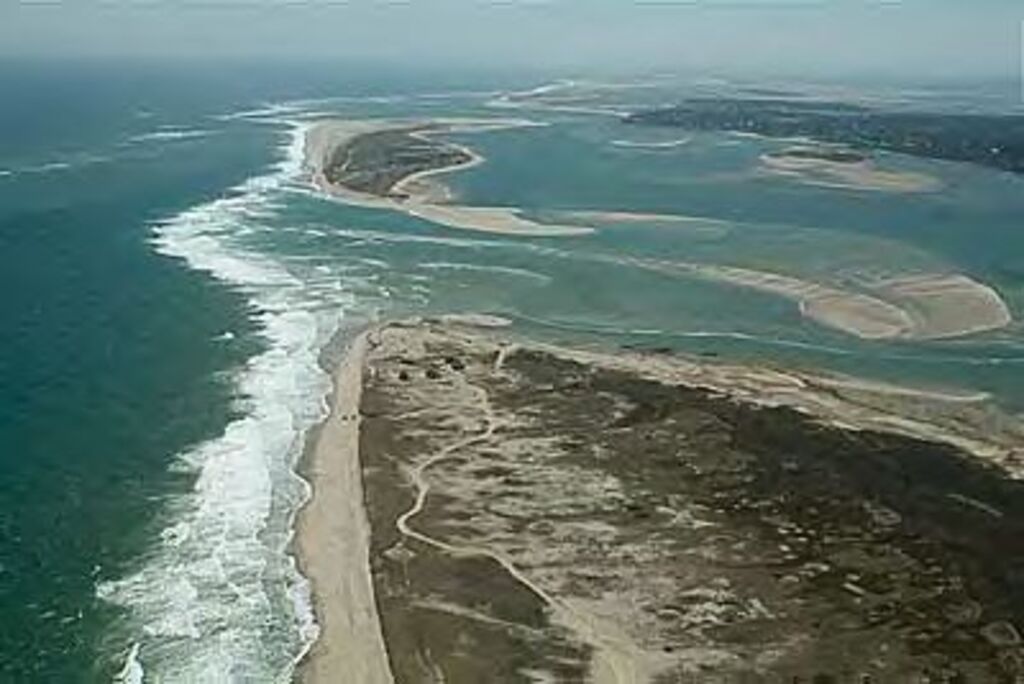 No description provided for: /2010/04-06/0407-north-beach-break/photo04.html