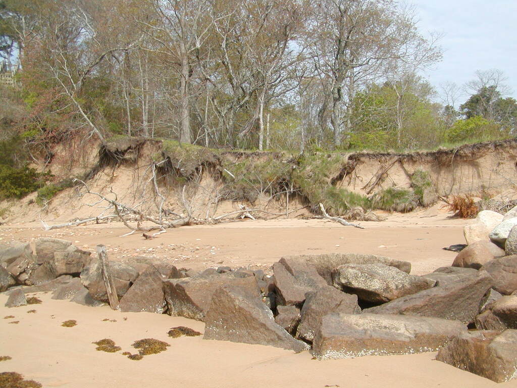 No description provided for: /2010/04-06/0502-boat-house-erosion/photo05.html