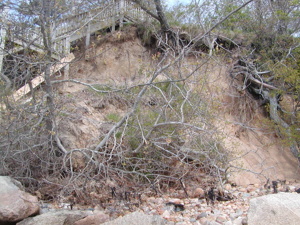 No description provided for: /2010/04-06/0502-boat-house-erosion/photo10.html