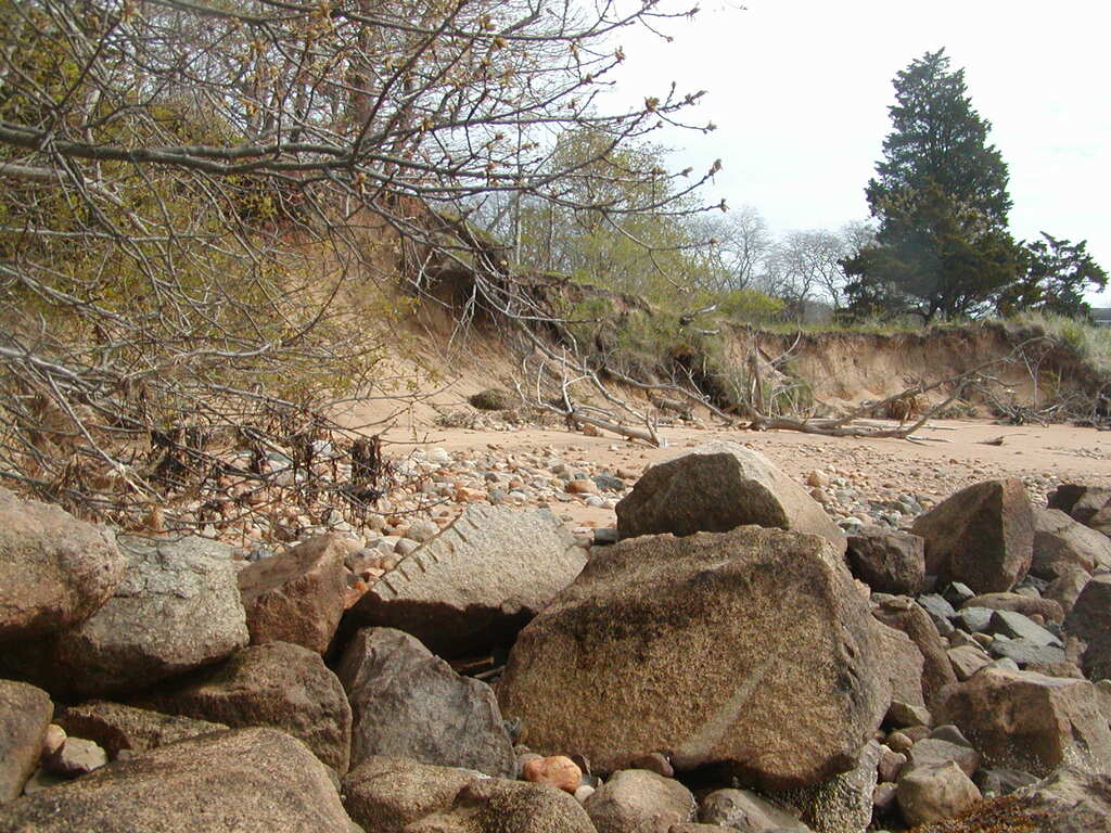 No description provided for: /2010/04-06/0502-boat-house-erosion/photo13.html