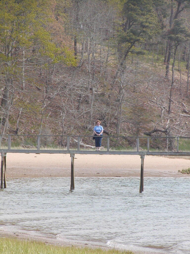 No description provided for: /2010/04-06/0502-boat-house-erosion/photo16.html