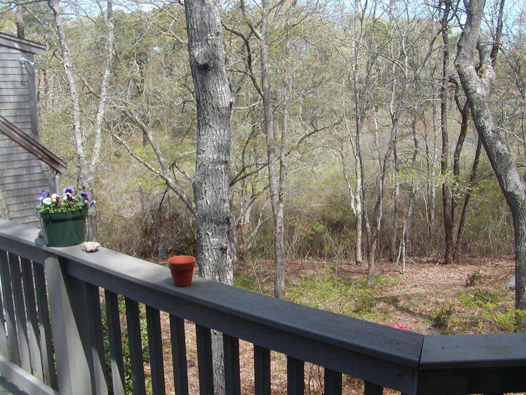 No description provided for: /2010/04-06/0504-cape-yard/photo02.html