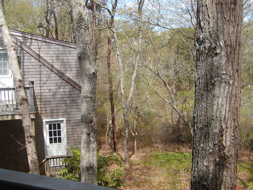 No description provided for: /2010/04-06/0504-cape-yard/photo04.html