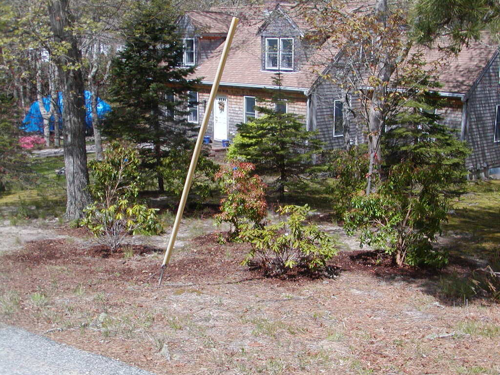 No description provided for: /2010/04-06/0504-cape-yard/photo07.html