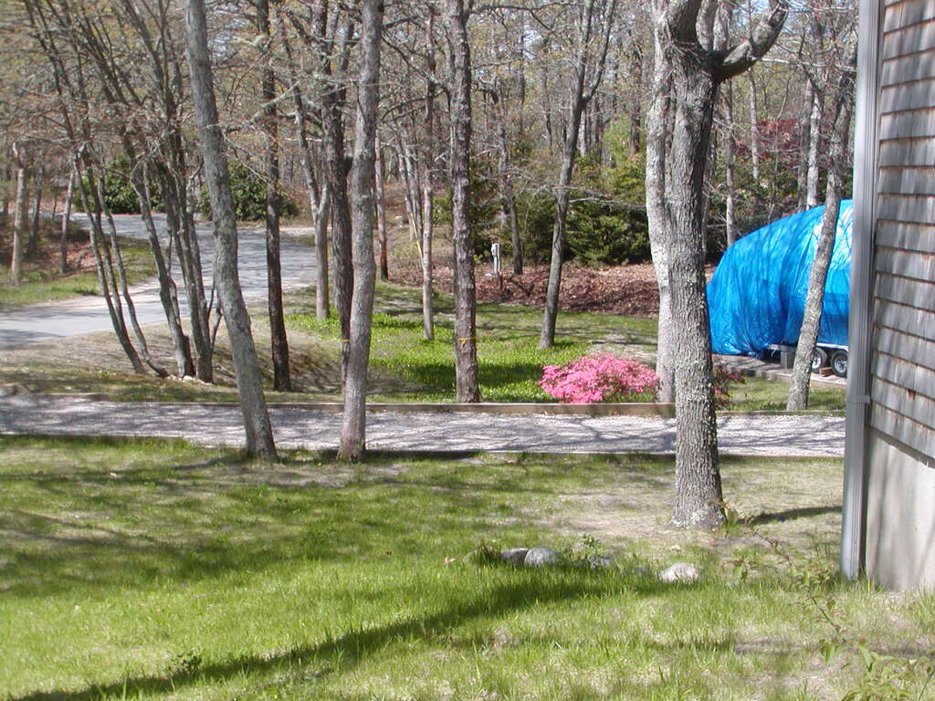 No description provided for: /2010/04-06/0504-cape-yard/photo11.html