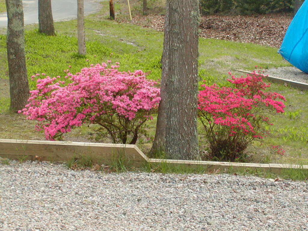 No description provided for: /2010/04-06/0506-cape-yard/photo02.html