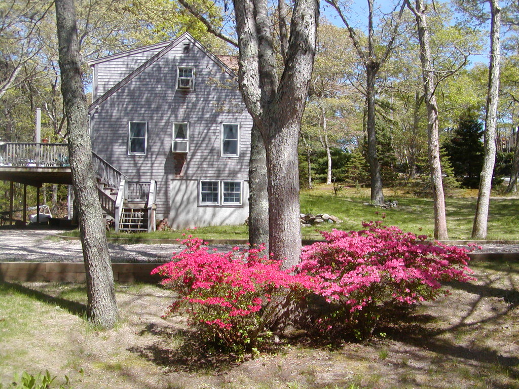 No description provided for: /2010/04-06/0507-cape-yard/photo06.html