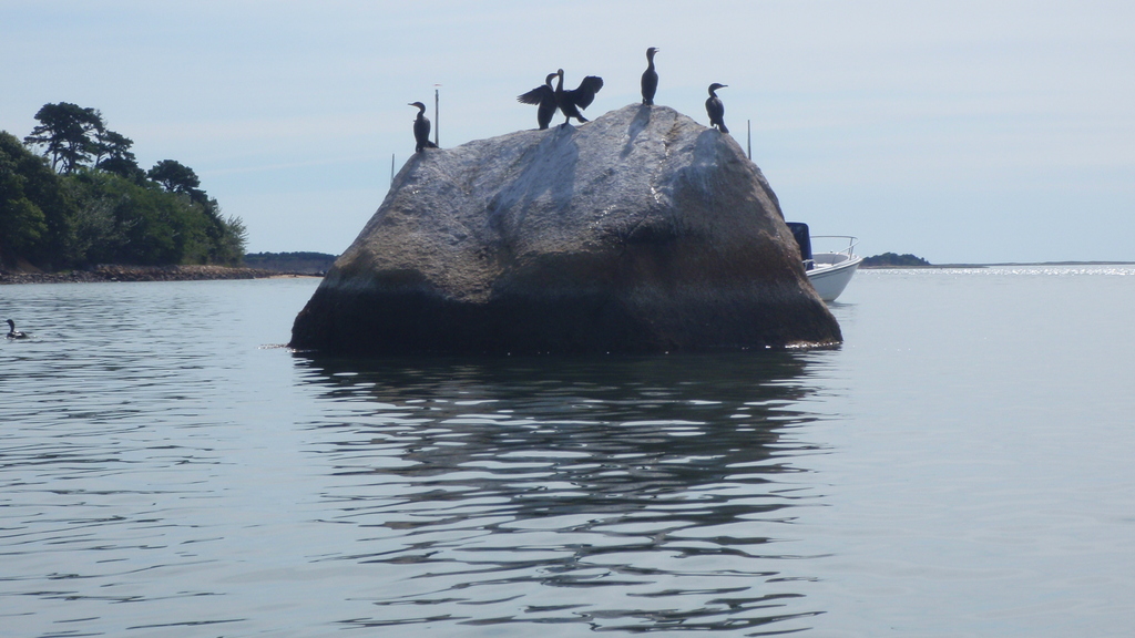 No description provided for: /2010/07-09/0821-cat-boats/_1/photo01.html