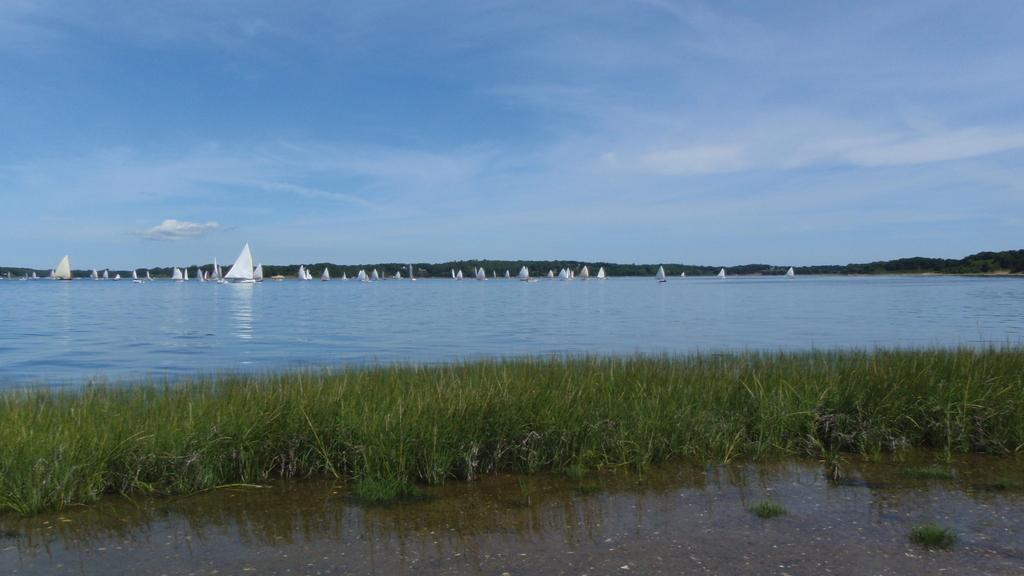 No description provided for: /2010/07-09/0821-cat-boats/_2/photo21.html