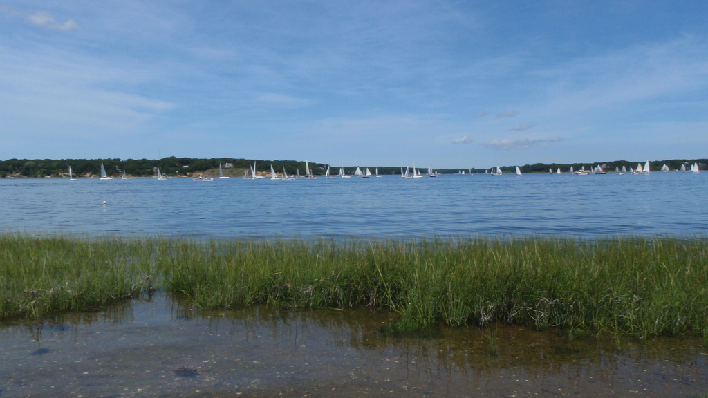 No description provided for: /2010/07-09/0821-cat-boats/_2/photo26.html