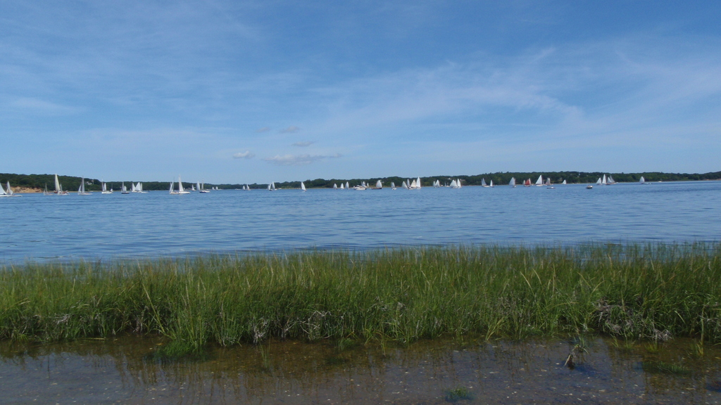 No description provided for: /2010/07-09/0821-cat-boats/_2/photo27.html