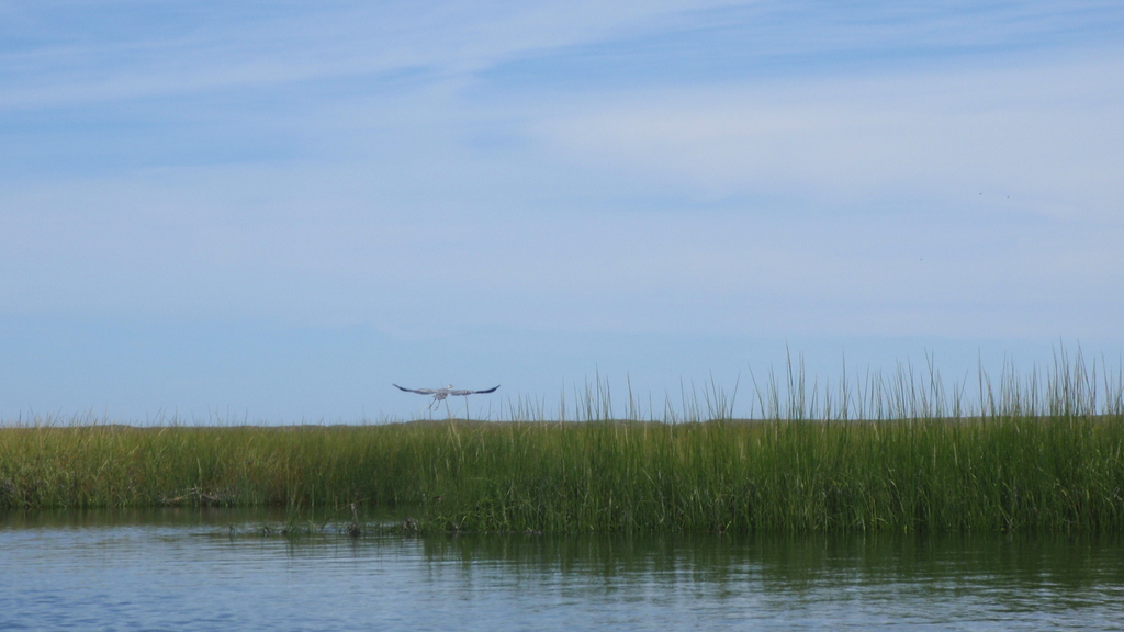 No description provided for: /2010/07-09/0821-cat-boats/_3/photo44.html