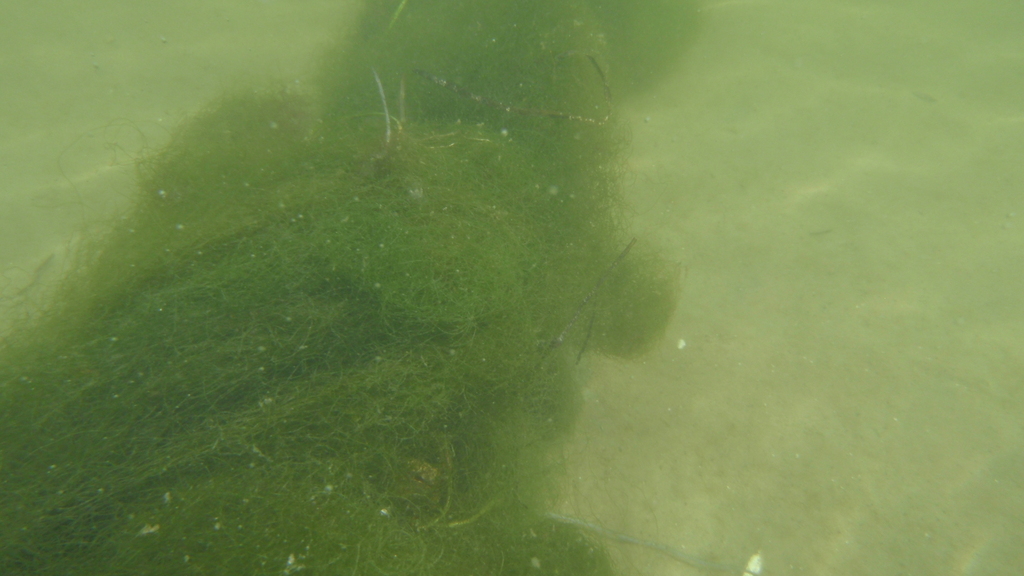 No description provided for: /2010/07-09/0821-cat-boats/_3/photo46.html