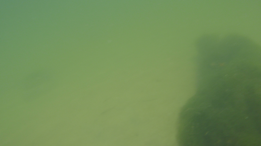 No description provided for: /2010/07-09/0821-cat-boats/_3/photo47.html