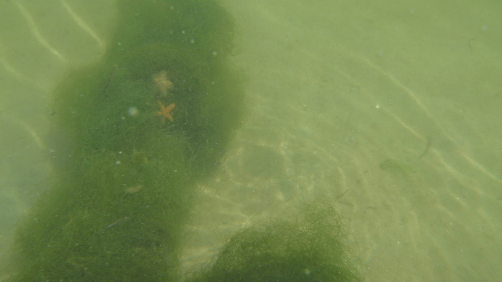 No description provided for: /2010/07-09/0821-cat-boats/_3/photo49.html