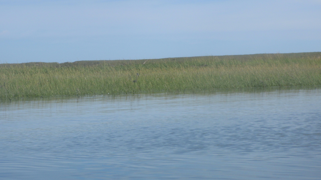 No description provided for: /2010/07-09/0821-cat-boats/_3/photo51.html