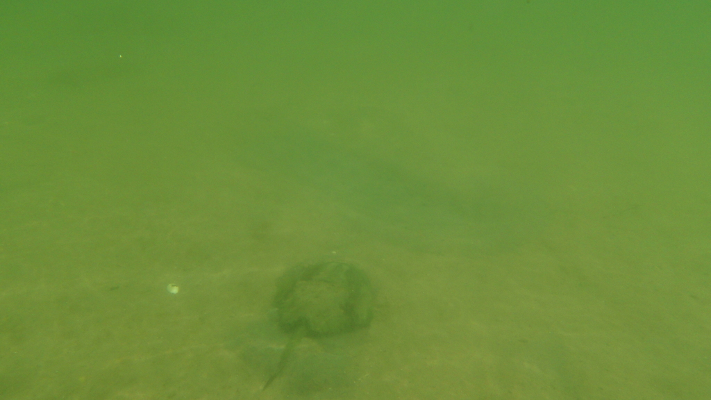 No description provided for: /2010/07-09/0821-cat-boats/_3/photo52.html