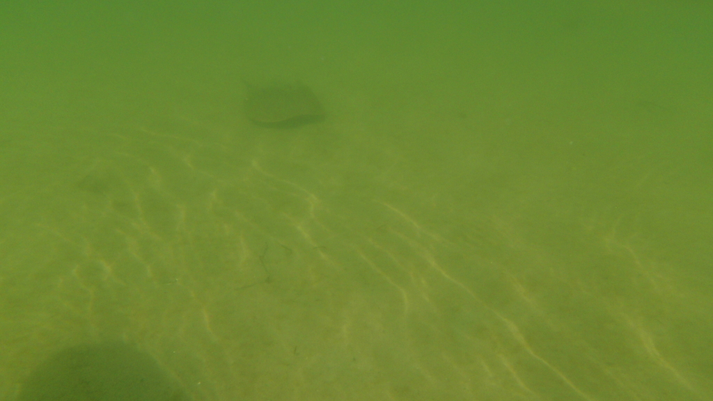 No description provided for: /2010/07-09/0821-cat-boats/_3/photo54.html