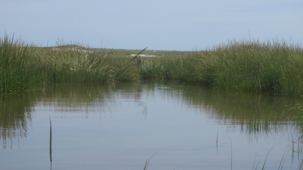 No description provided for: /2010/07-09/0821-cat-boats/_4/photo60.html