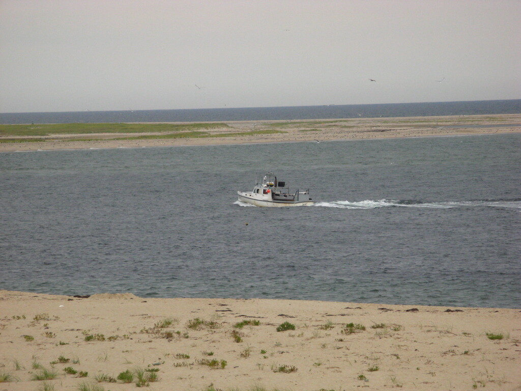 No description provided for: /2010/07-09/0822-kats-photos/_1/photo08.html