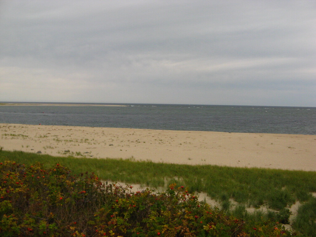 No description provided for: /2010/07-09/0822-kats-photos/_1/photo09.html