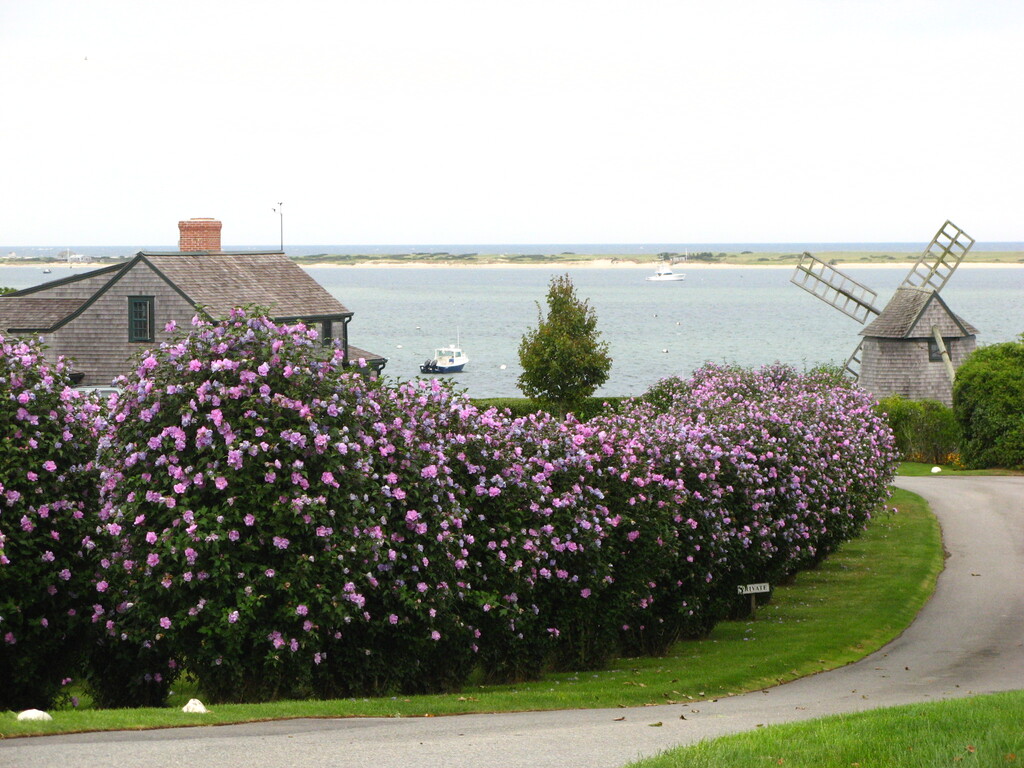 No description provided for: /2010/07-09/0822-kats-photos/_1/photo12.html