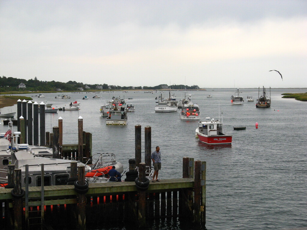 No description provided for: /2010/07-09/0822-kats-photos/_1/photo19.html