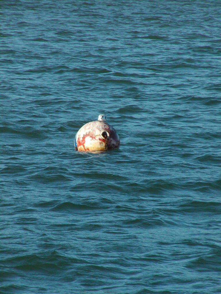 No description provided for: /2010/07-09/0906-more-twirlies/photo08.html