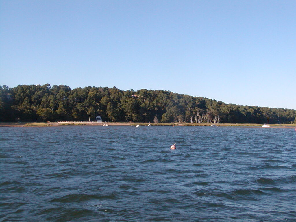 No description provided for: /2010/07-09/0906-more-twirlies/photo10.html