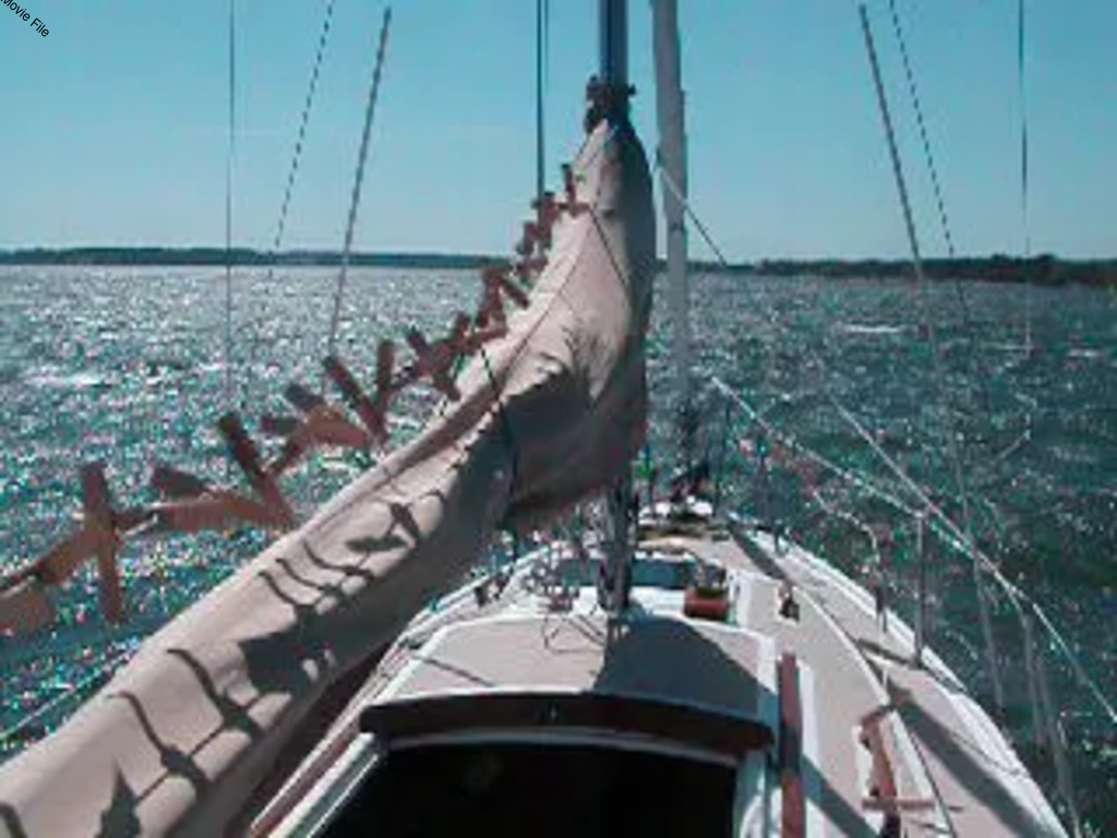 No description provided for: /2010/07-09/0907-twirlie-movie/movie02.html