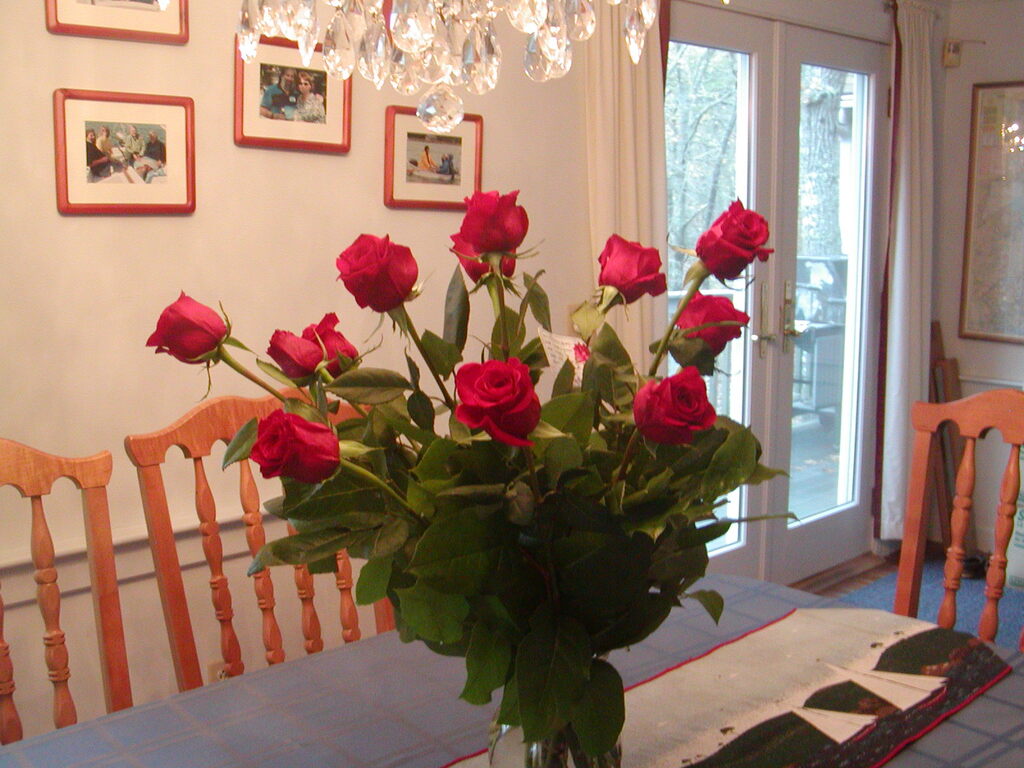 No description provided for: /2010/10-12/1109-bday-flowers/photo02.html