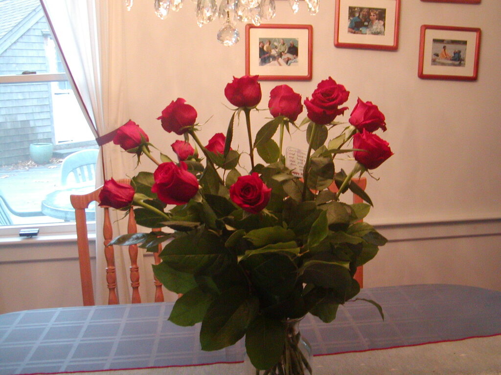 No description provided for: /2010/10-12/1109-bday-flowers/photo03.html