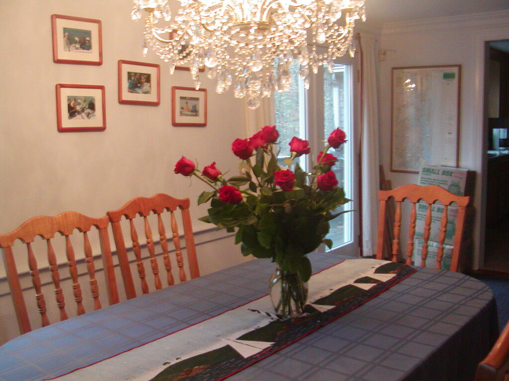 No description provided for: /2010/10-12/1109-bday-flowers/photo04.html