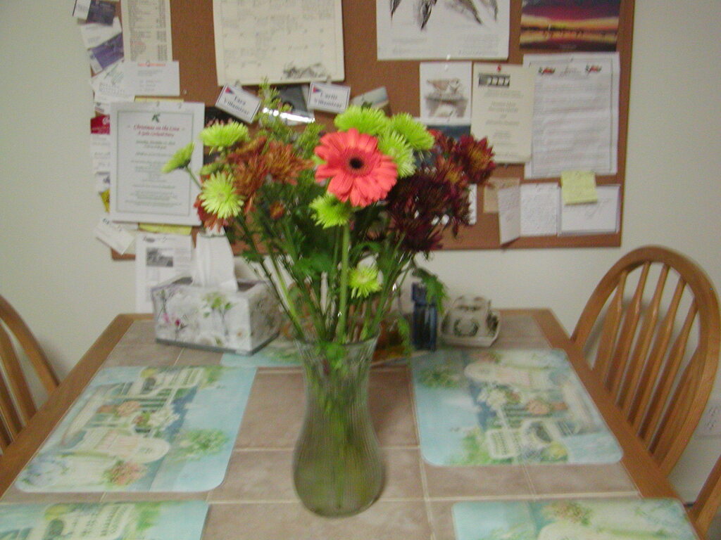 No description provided for: /2010/10-12/1109-bday-flowers/photo05.html