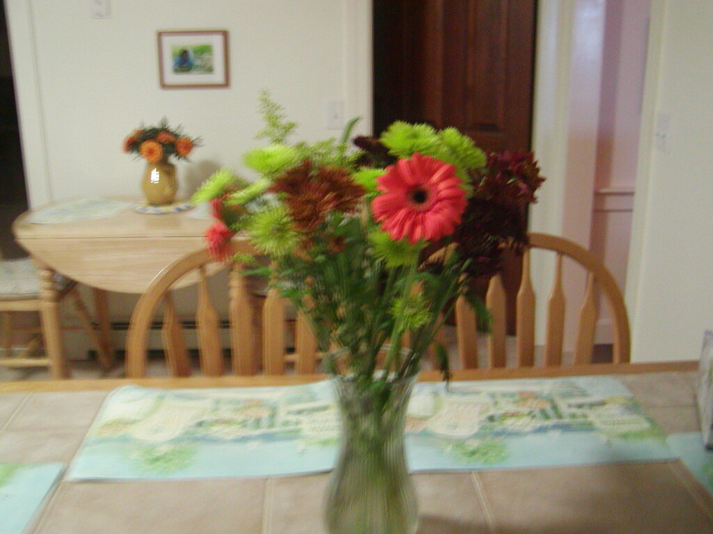 No description provided for: /2010/10-12/1109-bday-flowers/photo06.html