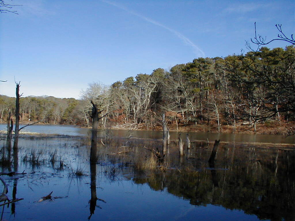 No description provided for: /2010/10-12/1120-erin-orleans-hikes/photo03.html