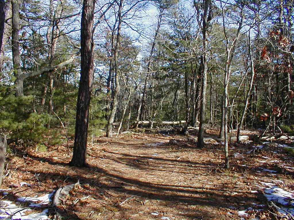 No description provided for: /2010/10-12/1120-erin-orleans-hikes/photo05.html