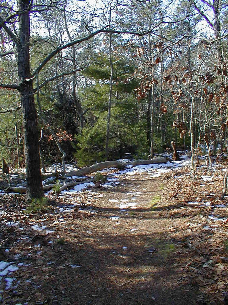 No description provided for: /2010/10-12/1120-erin-orleans-hikes/photo06.html