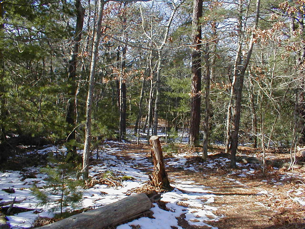 No description provided for: /2010/10-12/1120-erin-orleans-hikes/photo07.html